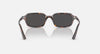 ZURI BIO-BASED-Frame Polished Havana Lenses Dark Grey
