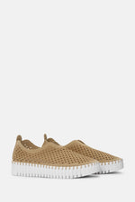 Tulip Platform - Latte